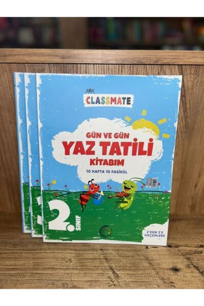 2. Sınıf Gün Ve Gün Yaz Tatili Kitabı