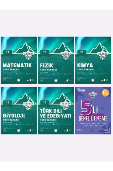 OKYANUS YAYINLARI 11.SINIF SAYISAL SET ( MATEMATİK -FİZİK-KİMYA-BİYOLOJİ-EDEBİYAT-5LİDENEME )